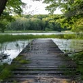 Tranquil Wooden Dock Overlooking Serene Lake Surrounded by Lush Greenery