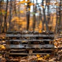 Rustic Wooden Pallet Surrounded by Autumn Foliage in a Forest