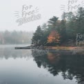 Serene Misty Lake with Autumn Reflections and Pine Trees