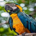 Vibrant Macaw Parrot Portrait with Lush Green Background