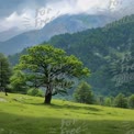 Serene Mountain Landscape with Lush Green Tree and Dramatic Sky