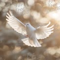 Graceful White Dove in Flight with Soft Bokeh Background