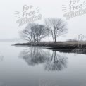 Serene Misty Lake with Bare Trees and Reflections