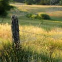 Serene Countryside Landscape with Rustic Fence and Golden Grass