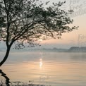 Tranquil Sunrise Over Misty Lake with Silhouetted Tree