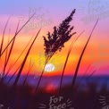 Serene Sunset Over Grassy Dunes: Nature's Tranquil Beauty