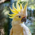 Vibrant Yellow-Crested Cockatoo Portrait in Lush Greenery