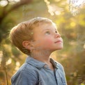 Curious Boy Gazing Upward in Sunlit Nature - Childhood Wonder and Exploration