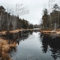 Tranquil Autumn Reflections in a Serene Forest Lake