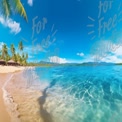 Tropical Paradise: Serene Beach with Crystal Clear Water and Lush Palm Trees