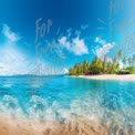 Tropical Paradise: Serene Beach with Crystal Clear Water and Lush Palm Trees