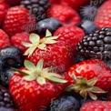 Frische gemischte Beeren: Erdbeeren, Himbeeren, Blaubeeren und Brombeeren für gesunde Ernährung und 