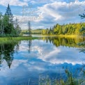 Tranquil Lake Reflection in Lush Green Forest Under Blue Sky