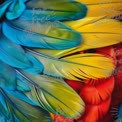 Vibrant Colorful Feathers: Nature's Artistry in Blue, Yellow, and Red