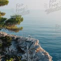 Tranquil Coastal Scene with Seagull on Rocky Shoreline