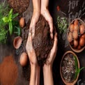 Hands Holding Rich Soil with Fresh Ingredients and Eggs - Sustainable Gardening Concept