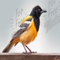 Vibrant Black-Headed Oriole Perched on a Wooden Rail