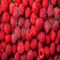 Fresh Raspberries Background - Healthy Eating, Organic Fruits, Summer Berries