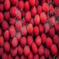 Fresh Raspberries Background - Healthy Eating, Organic Produce, Summer Fruits