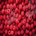 Fresh Organic Raspberries Background - Healthy Eating, Superfoods, and Natural Ingredients