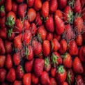 Fresh Juicy Strawberries Background - Healthy Eating, Organic Produce, Summer Fruits