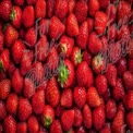 Fresh Juicy Strawberries Background - Healthy Eating, Organic Produce, Summer Fruits