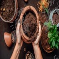 Gardening Essentials: Hands Holding Potting Soil for Indoor Plants