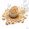 Organic Sesame Seeds in Wooden Bowl with Spilled Seeds on White Background