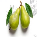 Fresh Green Pears with Leaves on White Background - Healthy Eating and Organic Produce Concept