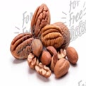 Assorted Nuts Collection: Healthy Snack Options for Nutrition and Wellness