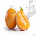 Fresh Citrus Fruits: Juicy Orange and Segments on White Background