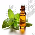 Fresh Mint Essential Oil with Green Leaves - Natural Aromatherapy and Wellness