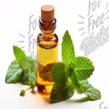 Fresh Mint Essential Oil with Green Leaves - Aromatherapy and Natural Wellness