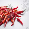 Vibrant Red and Orange Chili Peppers on White Background - Fresh Spices for Cooking and Culinary Use