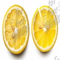 Fresh Lemon Slices with Juicy Texture and Seeds - Vibrant Citrus Fruit Background