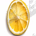 Fresh Lemon Slice with Juicy Texture on White Background