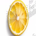 Fresh Lemon Slice on White Background - Citrus Fruit, Healthy Eating, Natural Ingredients