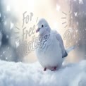 Snowy White Dove in Winter Wonderland: Serene Nature Scene