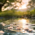 Serene Water Reflection with Blossoms at Sunset - Tranquil Nature Scene