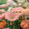 Vibrant Pink Floral Arrangement: Fresh Spring Flowers for Celebrations and Events