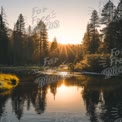 Tranquil Sunrise Over Serene River Surrounded by Pine Forest