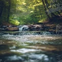 Ruhiger Waldstrom: Serener Naturwasserfall in üppigem Grün