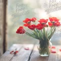 Vibrant Red Tulips in Glass Vase with Soft Natural Light