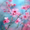 Delicate Pink Cherry Blossom Branch in Soft Focus - Spring Floral Beauty