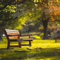 Tranquil Park Bench in Lush Green Landscape: Perfect for Relaxation and Nature Themes