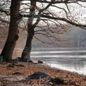 Tranquil Lakeside Scene with Autumn Trees and Reflections