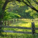 Caminho Campestre Sereno: Vegetação Luxuriante e Cerca Rústica na Natureza