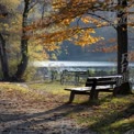 Tranquil Autumn Park Scene with Scenic Lake and Wooden Bench