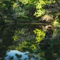 Serene Nature Escape: Woman Reflecting by Tranquil River in Lush Greenery