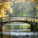 Tranquil Autumn Landscape with Scenic Bridge Over Serene Lake